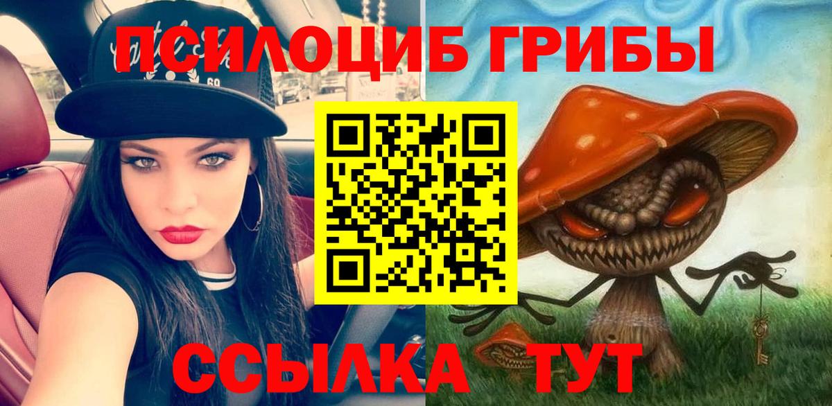 Белебей  Псилоцибиновые грибы MAGIC MUSHROOMS  Вход с VPN 